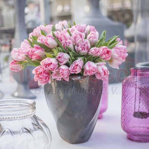 Pink flowers in purple vase