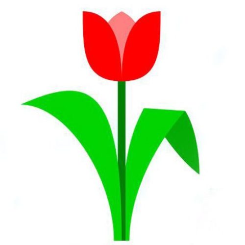 cropped-tulip2.jpg